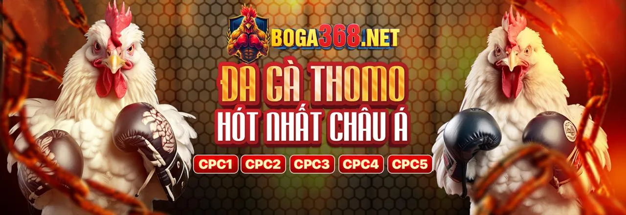 Sân chơi thể thao 55win55 Nổ Hũ